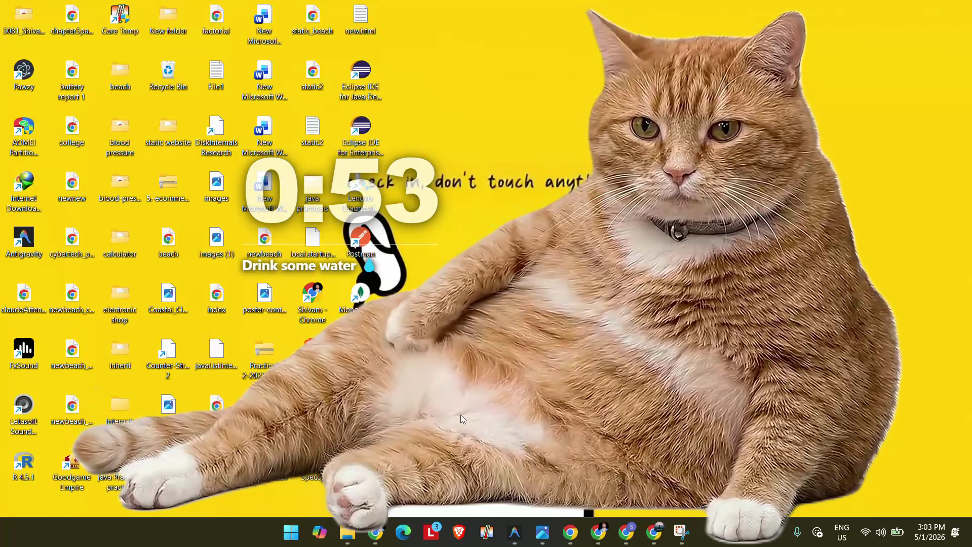 Cat Hijacking Preview